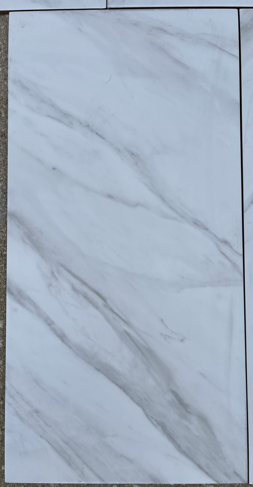 Carrara Statuario 12x24 Closeup